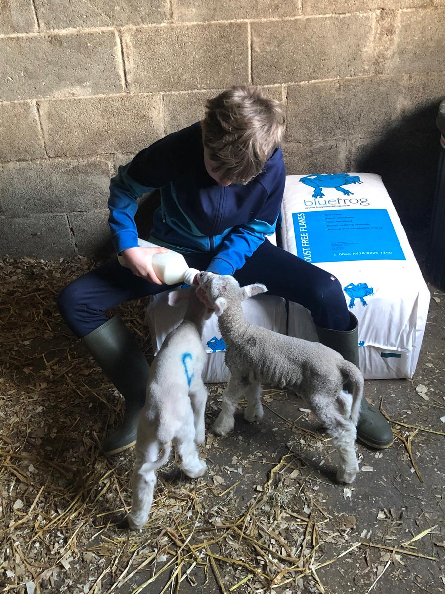 #FarmSafety Tip!
Ensuring you keep farm jobs age appropriate for children helps establish responsibility &amp; respect for the farm as a workplace. Establish boundaries &amp; know when is👌time to visit &amp; when you must say no 🚫. #Engage #Educate #Empower
<a href="/agriculture_ie/">Dept of Agriculture, Food and the Marine</a> <a href="/FlogasIreland/">Flogas</a>