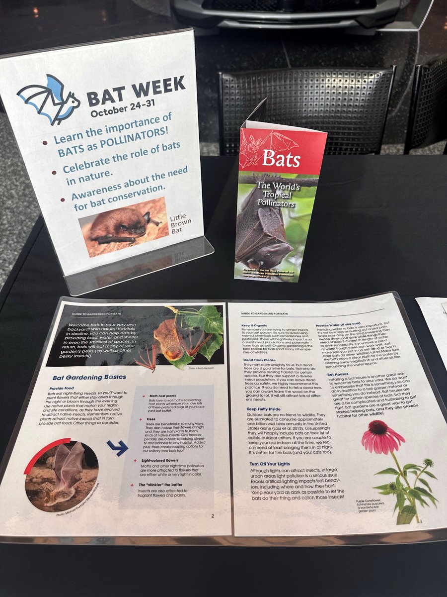 gmrencen's tweet photo. Wrapped up in a bat-tastic time in the Wintergarden, our Bat Week booth raised awareness about the flying pollinators vital role in our ecosystem. 🦇 As a Wildlife Habitat Council Gold Certification member, we're proud to educate the community on environmental conservation. 🌿 https://t.co/f6mNAEXfst