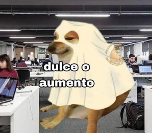 nacional_memes's tweet photo. 🐶 https://t.co/b1K5w3hskh