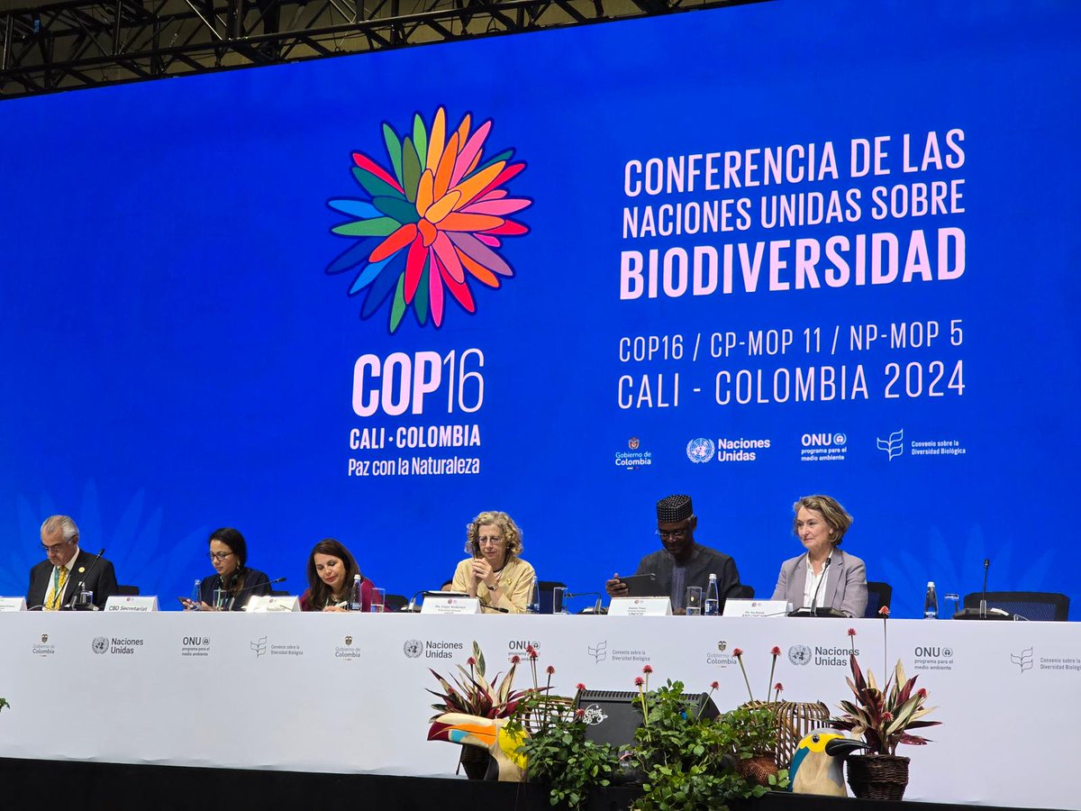UNHumanRights's tweet photo. The biodiversity crisis demands human rights solutions.

Attacks on environmental activists & Indigenous Peoples are unacceptable violations and strike at our shared freedom & the health of our planet.

There will be no peace with nature if we cannot protect human rights & its defenders -- Assist. Secretary-General Ilze Brands Kehris tells #COP16Colombia. https://t.co/FznF6hGYm4