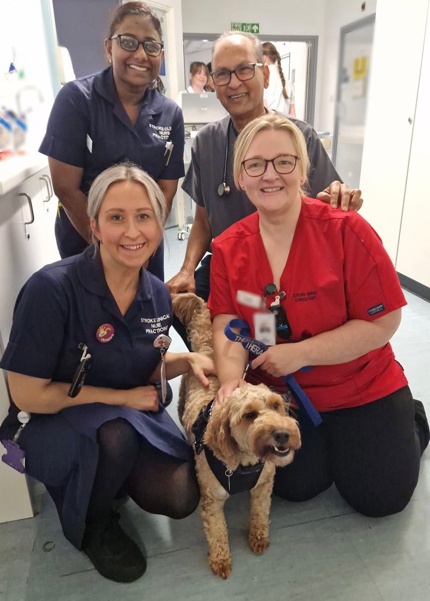 ELHTStrokeTeam's tweet image. Today, our stroke ward was brightened by a special therapy dog visit. The power of animal companionship truly brings joy to our patients (and staff)! #therapydog #StrokeRecovery #strokerehabilitation #stroketeam
