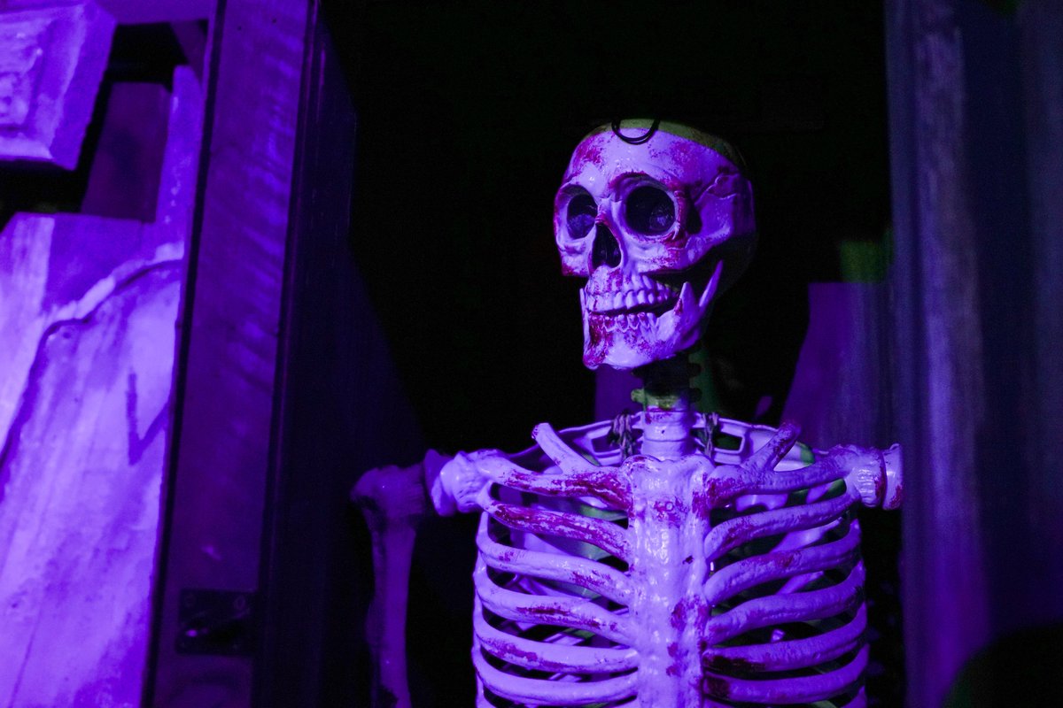 💀 Happy Halloween from Mr Bones, our resident skeleton! 💀

He's hanging around to remind you that no one escapes... forever. 🎃👀

May your night be filled with chills, thrills, and maybe a little fright! 🕸️

#TrickorTreat  #Spooky #Skeleton #Houdini