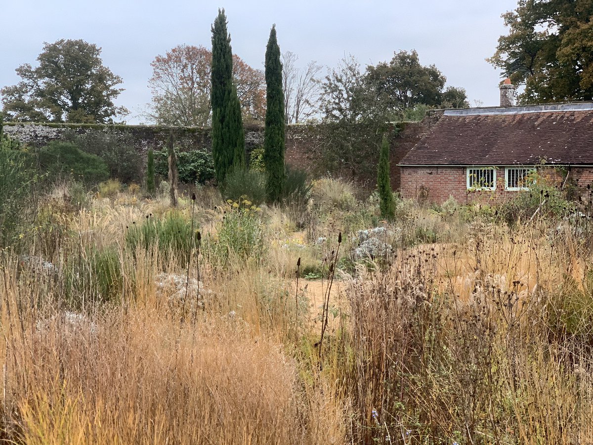 PelhamPlants's tweet photo. Brilliant visit to @KneppWilding Walled Garden with @GardenHouseBtn friends &amp; colleagues.
A fascinating tour from Suzi Turner, on the rewilding philosophy weaving through the innovative @kneppwilding estate.
#knepp #kneppestate #rewilding #sussexgardens #gardentour #pelhamplants https://t.co/ZmoxIleq4p