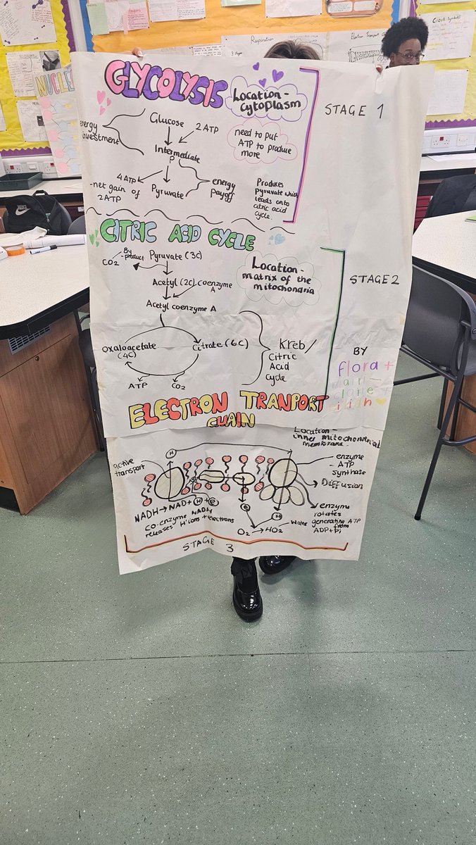BiologyNinians's tweet photo. Some fantastic work on show from our higher biologists consolidating aerobic respiration

@stninianshs 
@DavidKillin https://t.co/I2Z13y5PZO