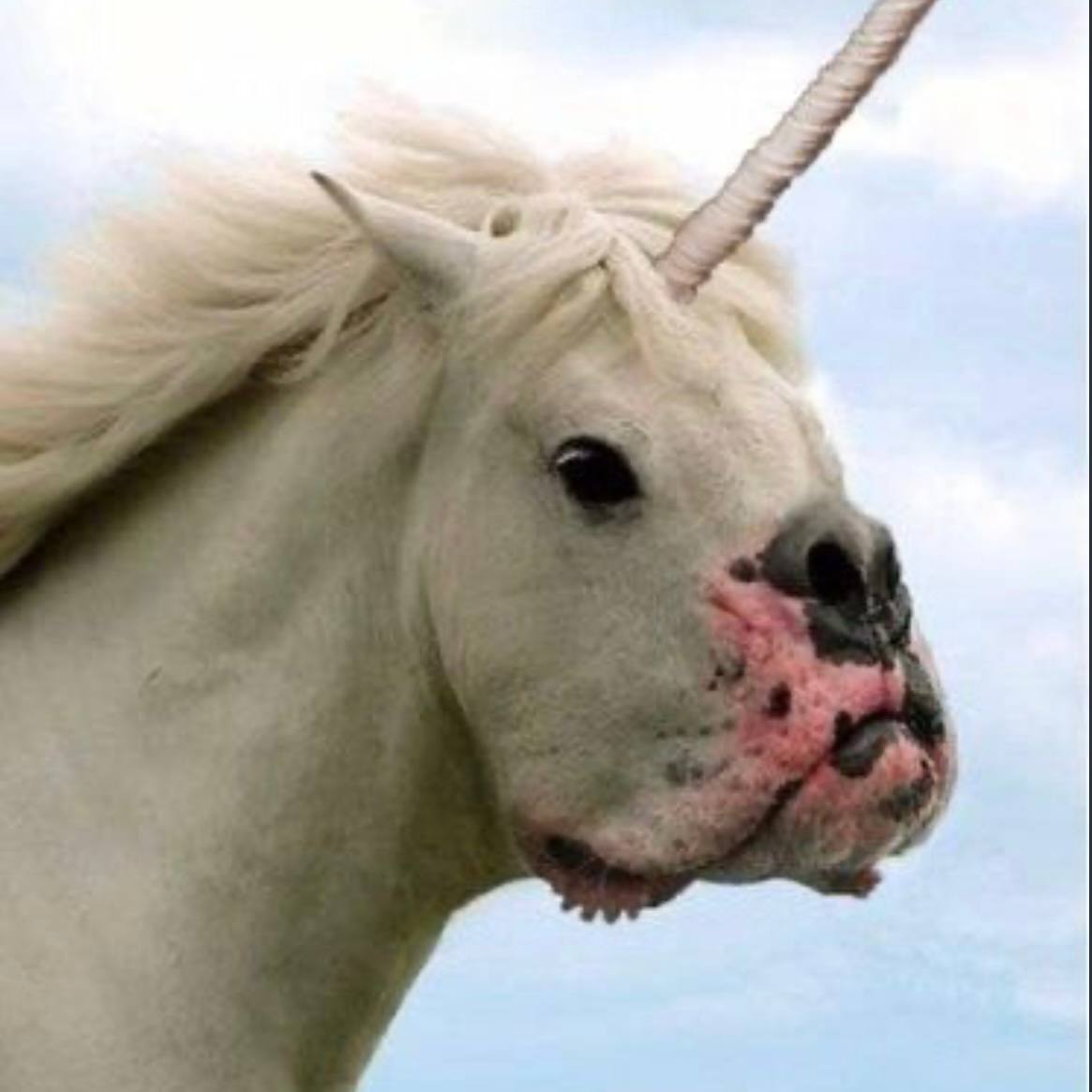 <a href="/meechie/"></a> Well $DUH