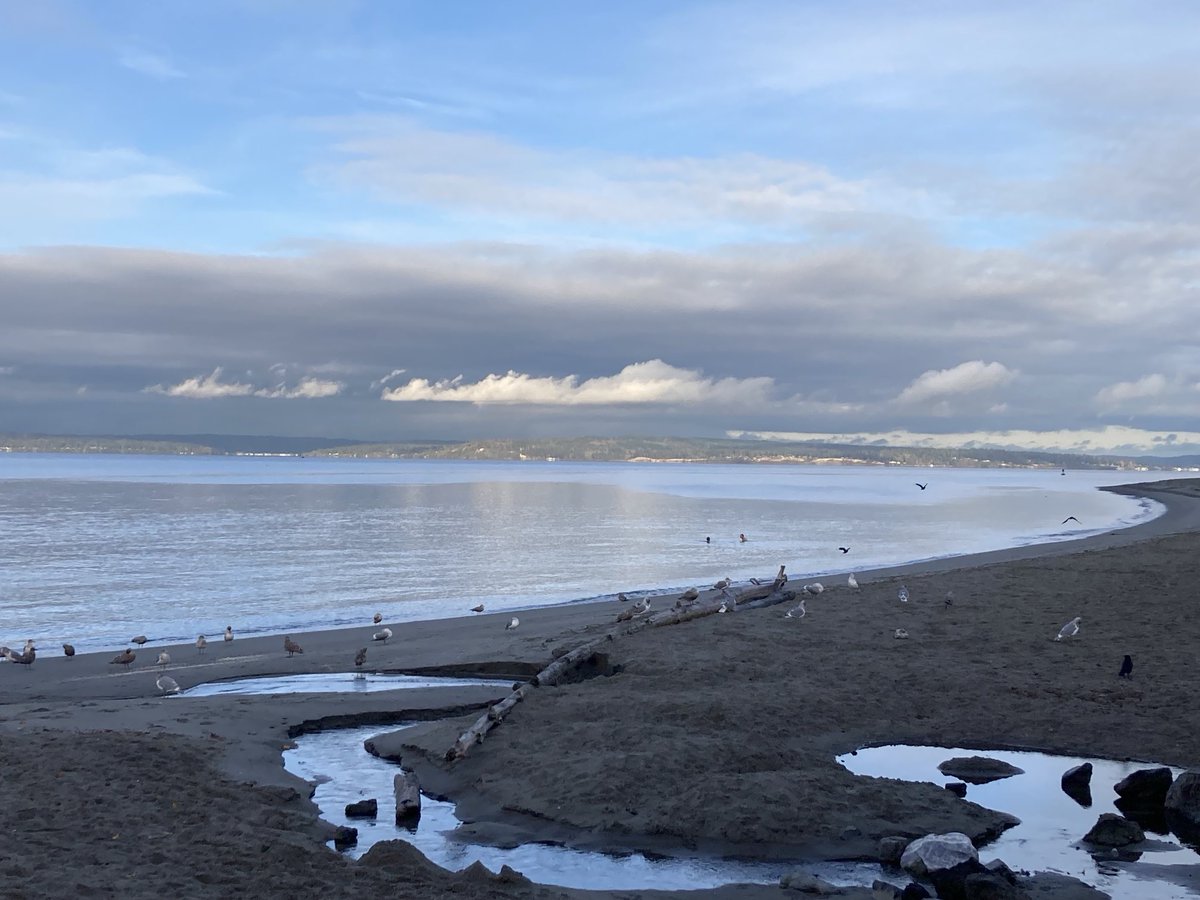 Golden Gardens beach, Seattle