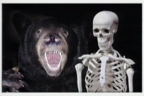 Andy Kelly tweet media