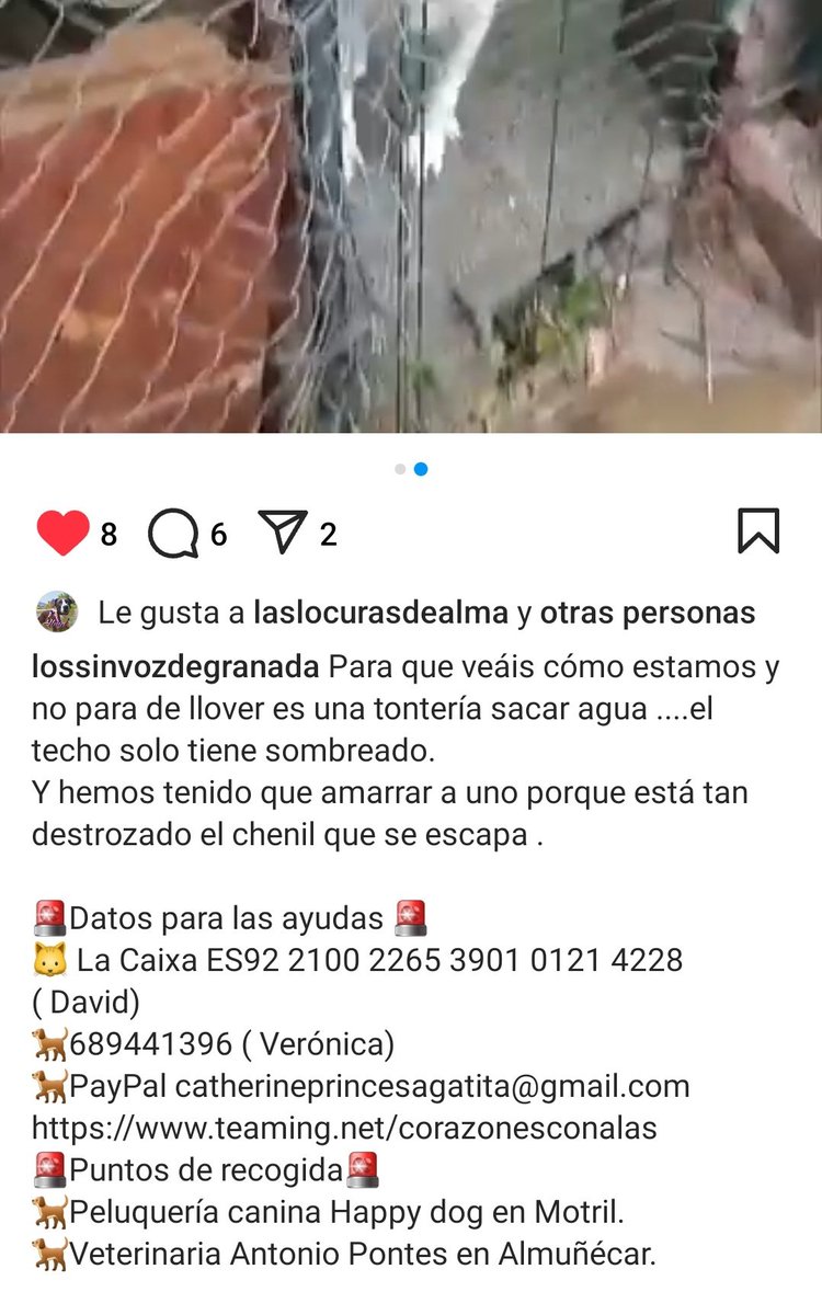 gemcantos's tweet image. Aprovecho para difundir este pequeño refugio en Granada que se ha inundado. Están pidiendo bizums de 1€ aunque sea para pagar comida para los animales (se les fue al garete con la DANA) y para pagar lonas de plástico para  los techos.
