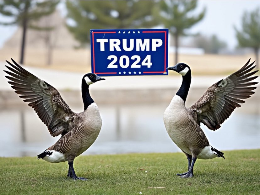 PLRivo936's tweet photo. @JoeBiden just called Trump supporters #Garbage now you have @MarkCuban calling female Trump supporters "stupid and weak women" these people truly hate the American people!!
#VoteOutAllDemocrats #MakeAmericaCivilAgain the Democratic Party is the party of hate and division! https://t.co/t7SrgUOtOk