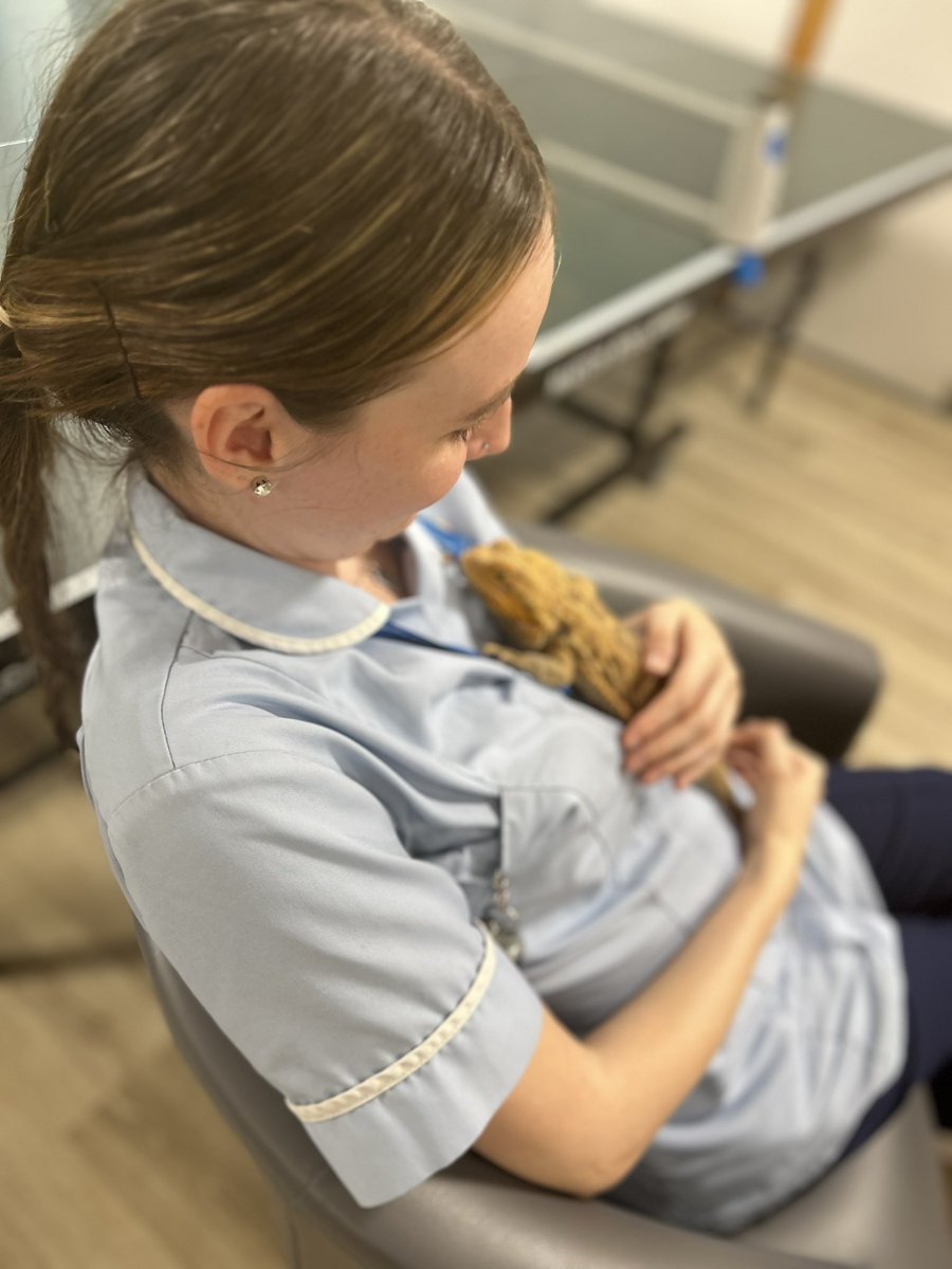 JordanGmmh's tweet photo. The best day today with service users and staff handling all the animals 😁🦨

Can we make this an everyday thing? 🤣 https://t.co/e0EpqDehWe