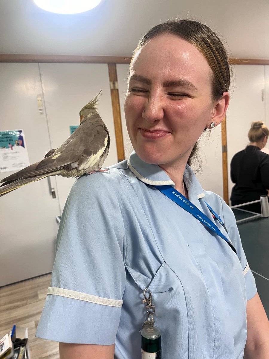 JordanGmmh's tweet photo. The best day today with service users and staff handling all the animals 😁🦨

Can we make this an everyday thing? 🤣 https://t.co/e0EpqDehWe