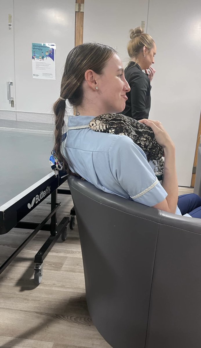 JordanGmmh's tweet photo. The best day today with service users and staff handling all the animals 😁🦨

Can we make this an everyday thing? 🤣 https://t.co/e0EpqDehWe