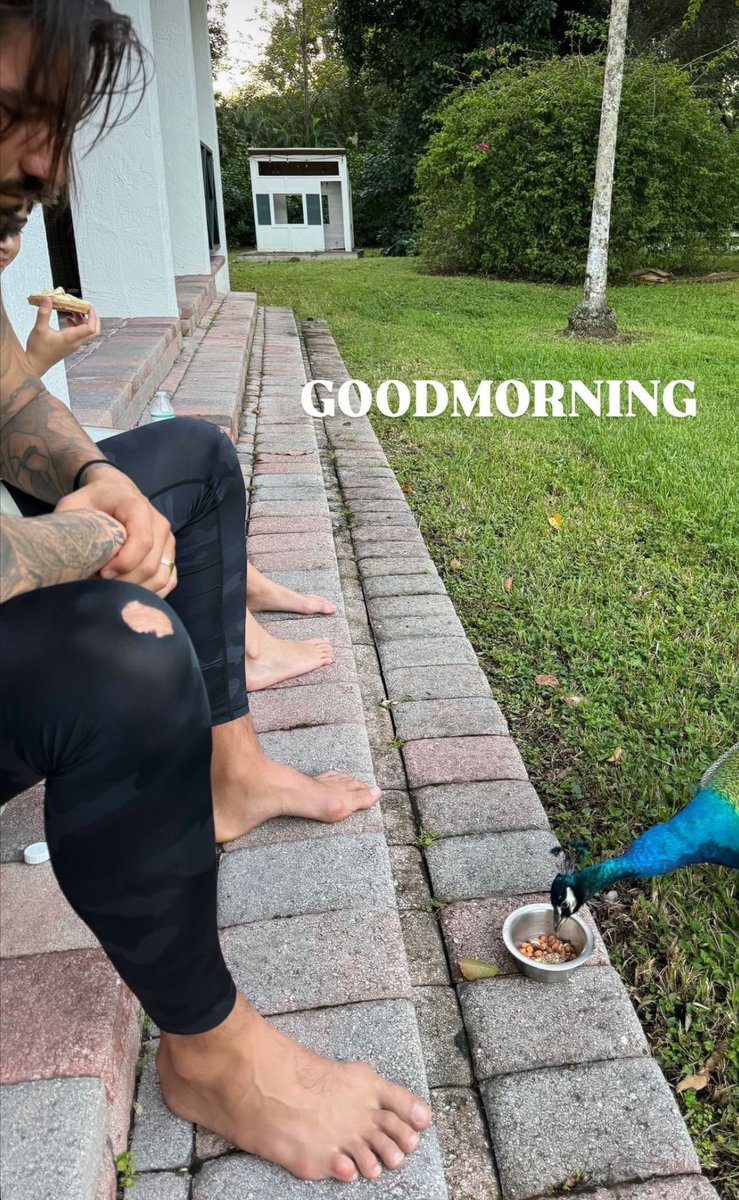 trishadelphia's tweet photo. Nick Castellanos stuns in new photo with his dogs out peacock watching!

📸: jess on instagram https://t.co/oTHuctrQpX