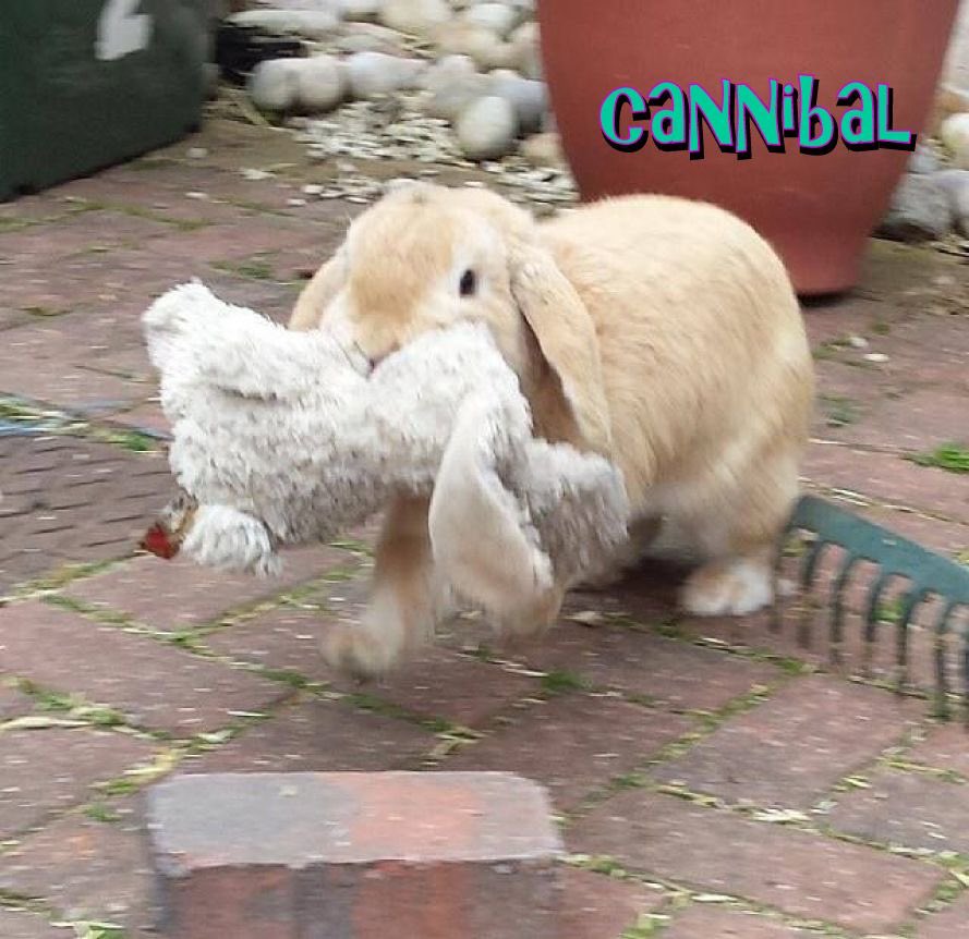 Bunnies's tweet photo. https://t.co/Py9fNj9cOK