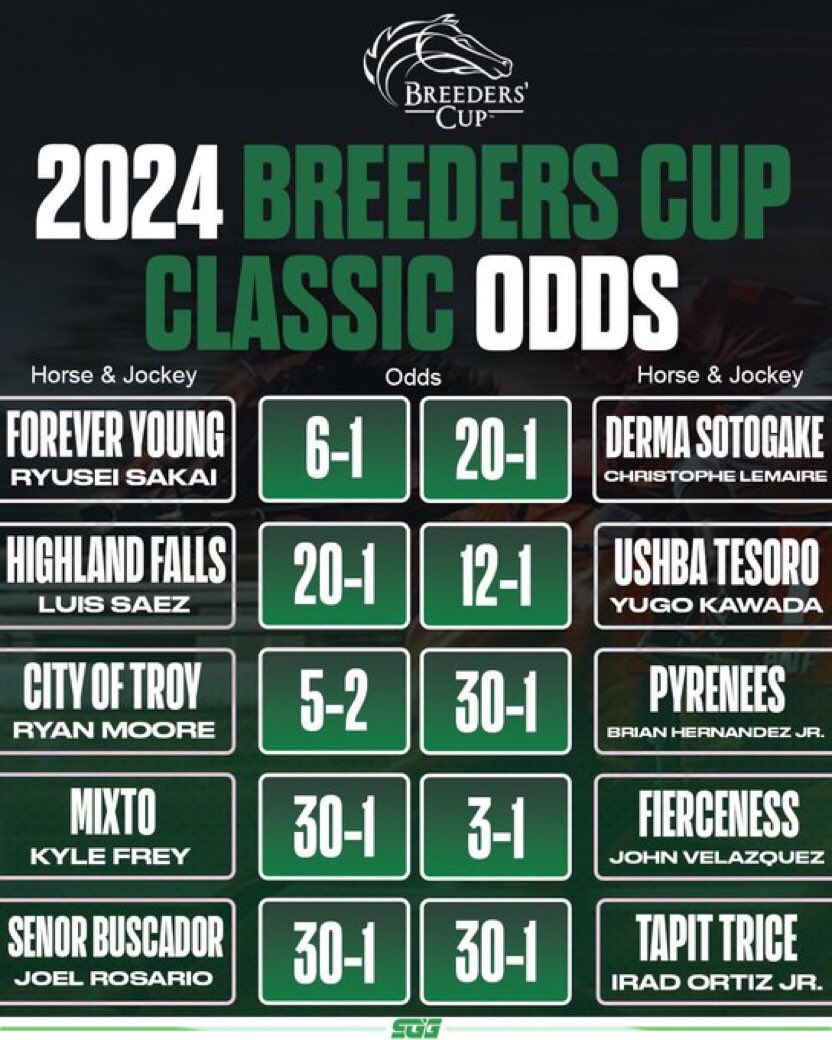 ChiefCFS's tweet photo. City of Troy might be new to dirt, but this Irish colt is a powerhouse! Can he make history in his @BreedersCup debut? #BreedersCup2024 https://t.co/W1D0G1eKtz