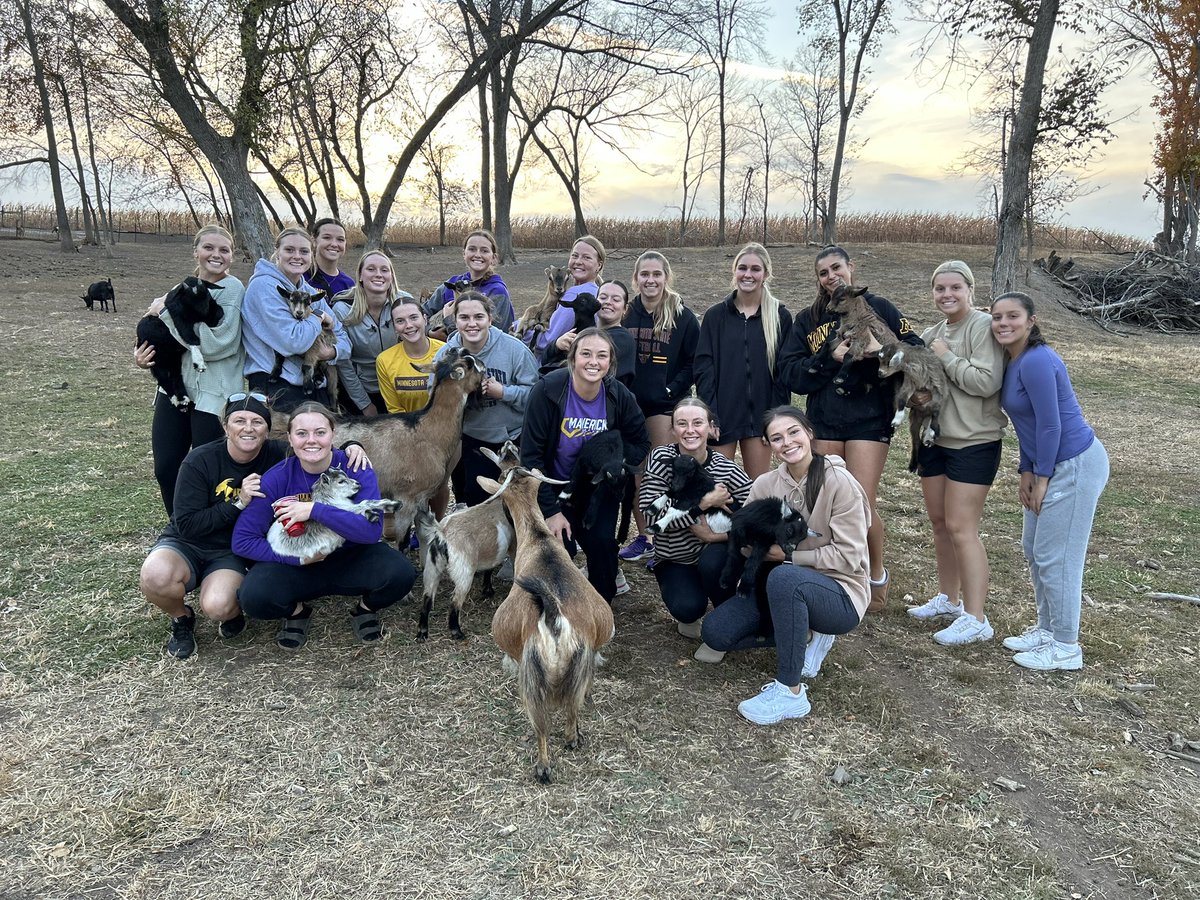 Such a fun afternoon getting some goat therapy!