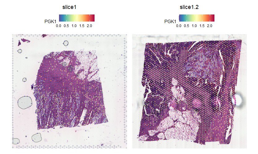 Simona De Summa tweet media