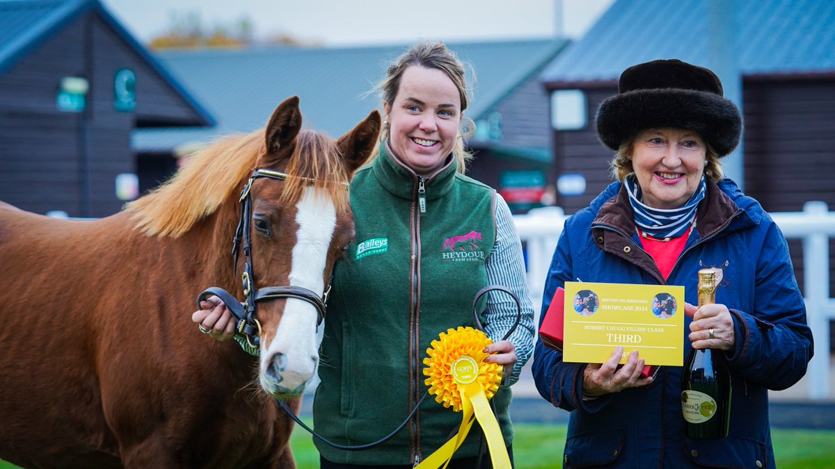 Goffs UK (@goffsuk) on Twitter photo Results from the Robert Chugg Fillies' Class at the British NH Breeders Showcase:
🥇Lot 38 - Nathaniel x Atlanta Ablaze from <a href="/millhousestud/">Mill House Stud</a>
🥈Lot 8 - Golden Horn x Protektrice from <a href="/millhousestud/">Mill House Stud</a>
🥉Lot 50 - Stradivarius x Fabianski from Heydour Farm Stud
#GoffsShowcase Results from the Robert Chugg Fillies' Class at the British NH Breeders Showcase:
🥇Lot 38 - Nathaniel x Atlanta Ablaze from <a href="/millhousestud/">Mill House Stud</a>
🥈Lot 8 - Golden Horn x Protektrice from <a href="/millhousestud/">Mill House Stud</a>
🥉Lot 50 - Stradivarius x Fabianski from Heydour Farm Stud
#GoffsShowcase
