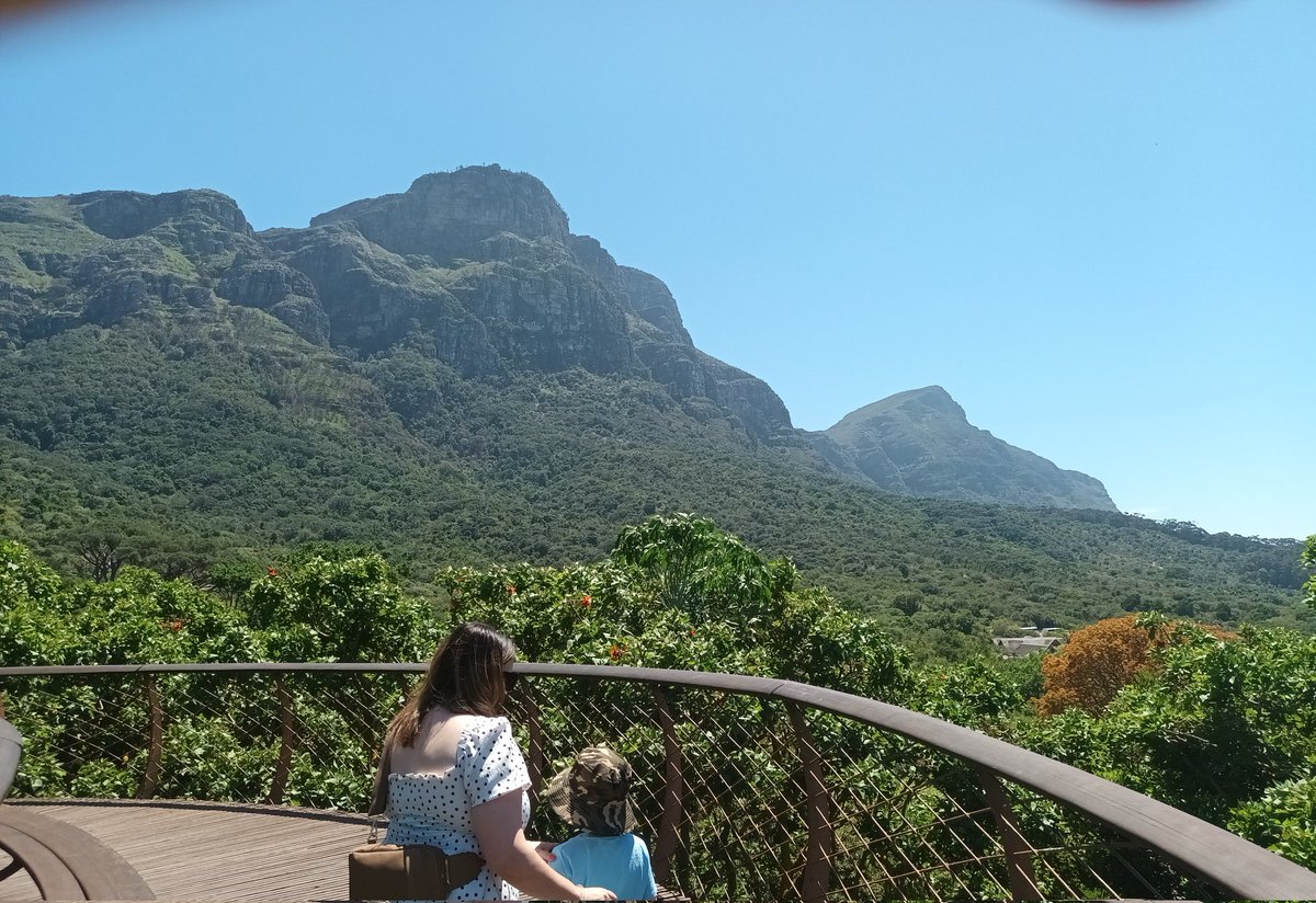 Hannah Botes tweet media