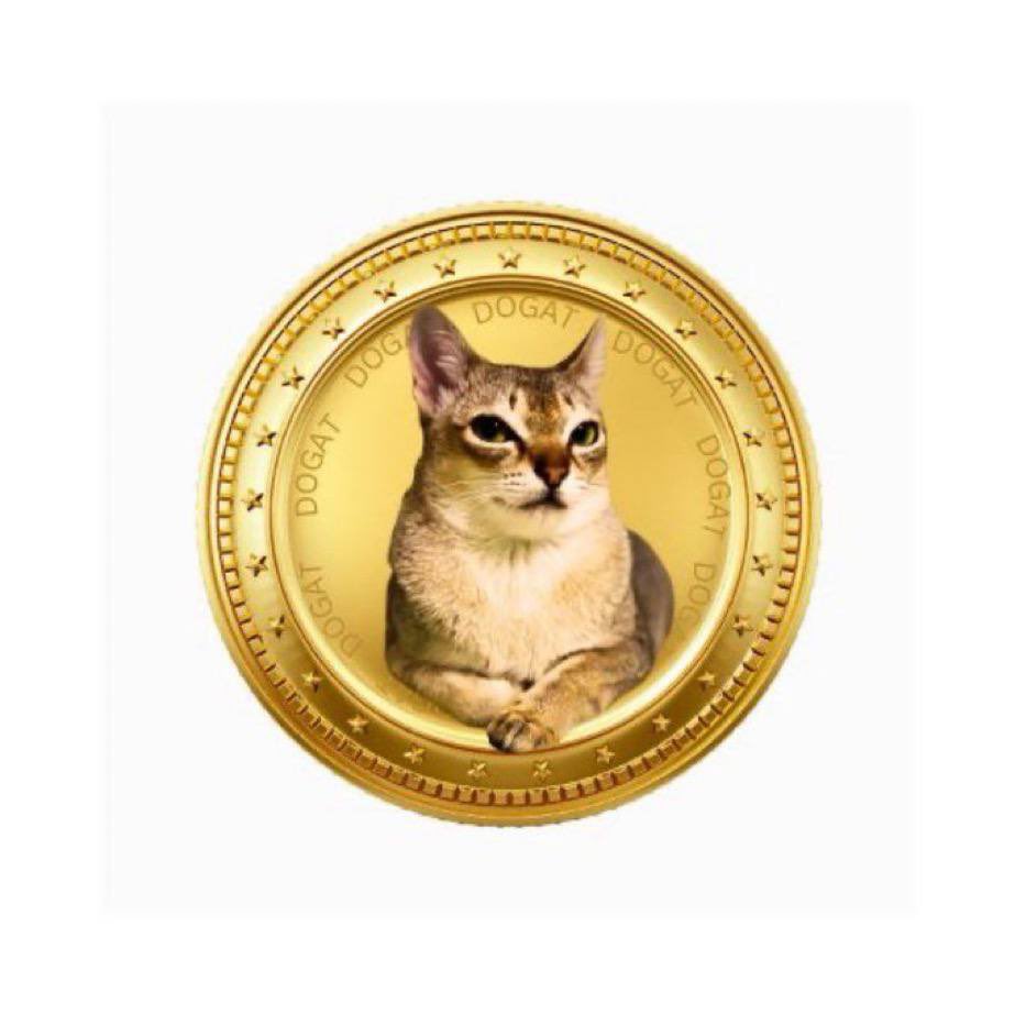 Mdoge tweet media