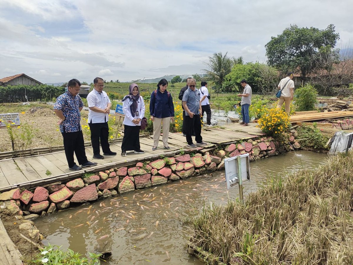 BudiFIRST2's tweet photo. Rabu (23/10/2024), Budi Mulyadi Luhkan Banyumas, mendampingi kegiatan Monitoring dan Evaluasi Perkembangan SFV Panembangan, bersama tim dari Pusat Penyuluhan KP Bpk Ihsan Haryadi dan Balai Besar Riset Sosial Ekonomi KP Ibu Nensyana Shafitri.
#GiatLuhkanSatminkalTegal
#Luhlapor https://t.co/OguYeGCX36