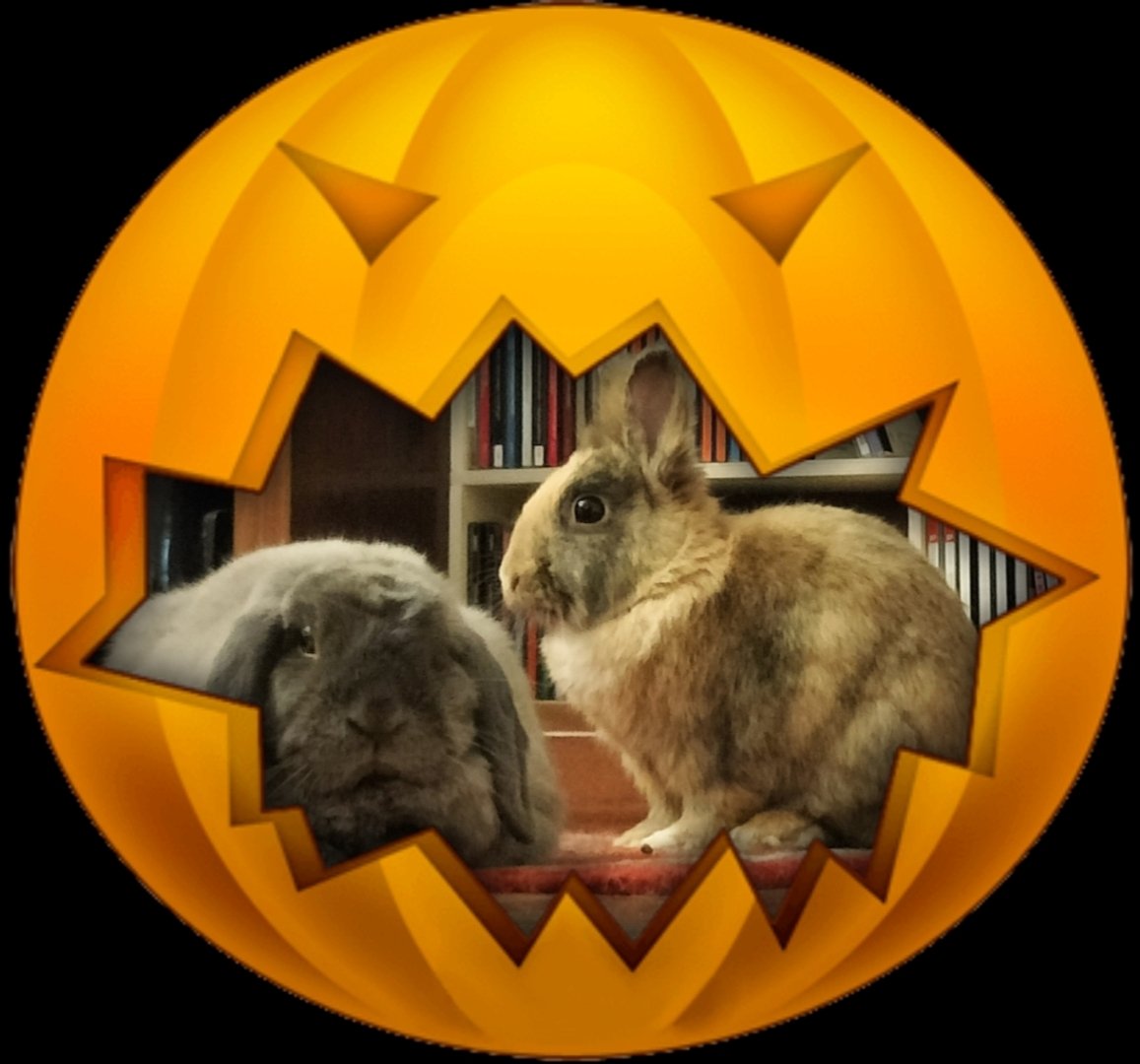 Hoppy Halloween 👻🎃🕸️