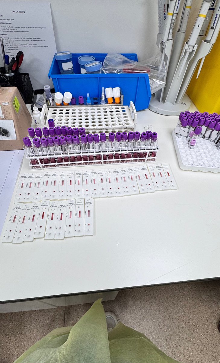 Tnx_6's tweet photo. 31/10/2024

Last day in HEMATOLOGY LAB✨🌷🤍 https://t.co/Yz3mee2iJK