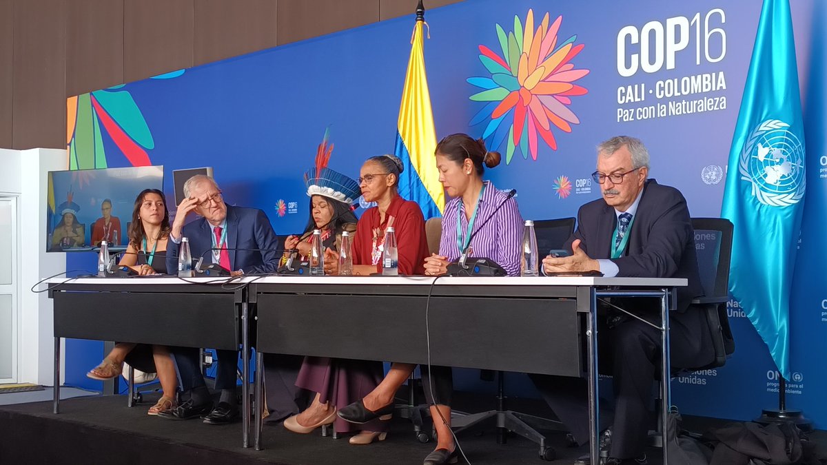 . <a href="/MarinaSilva/">Marina Silva</a> en <a href="/COP16Oficial/">COP16 COLOMBIA 🇨🇴</a> sobre la discusión de financiamiento y porqué Brasil pide crear un nuevo Fondo que administre el dinero para la #biodiversidad "El fondo GEF no permite más que donaciones y aqui necesitamos movilizar pagos por conocimiento y patrimonio genético"