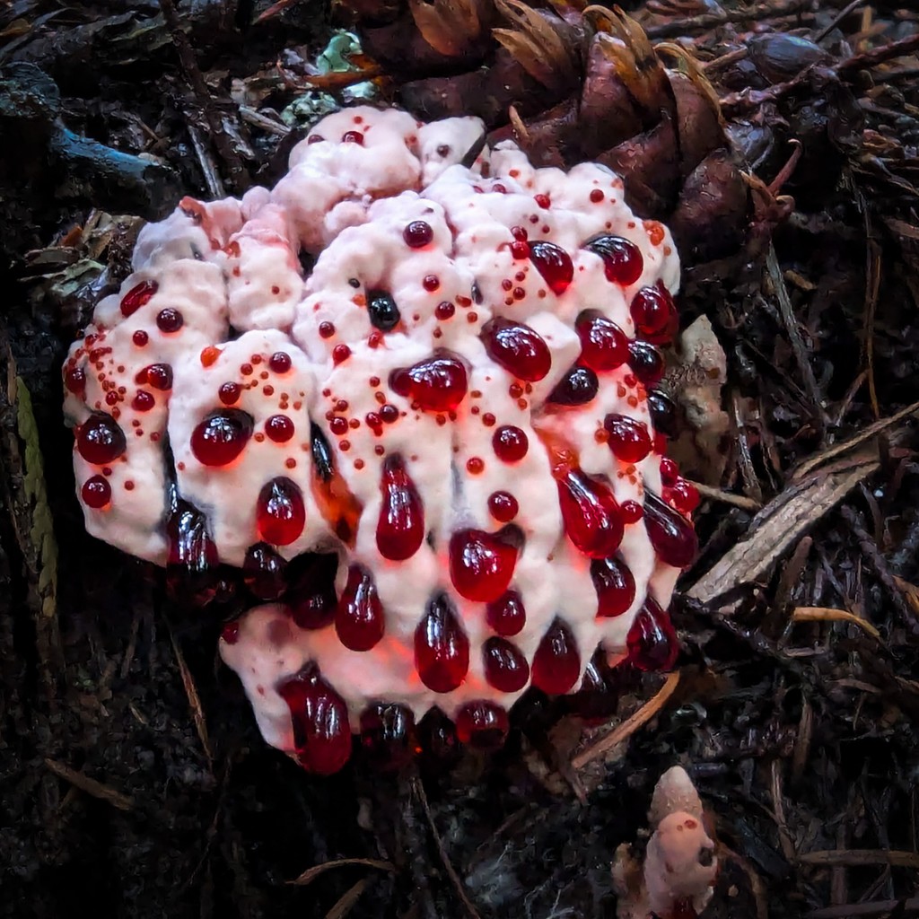 Wildsight tweet media