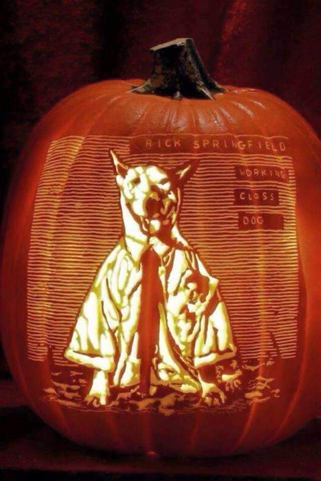 ricknewsflash's tweet image. #HappyHalloween 
#RickSpringfield #80s #80smusic #JessiesGirl