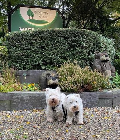 This month’s offer is 10% off all orders £30 &amp; over.  Just use code Nov30 at checkout 

mckaypetsupplies.co.uk