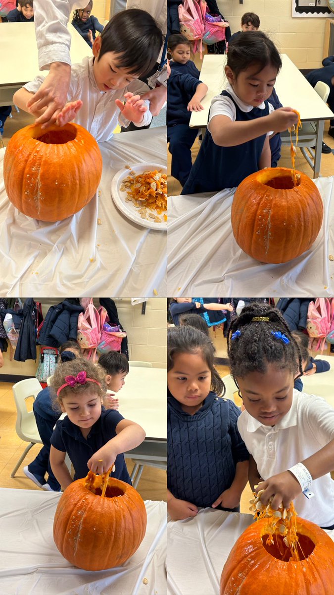 Blessed and pumpkin obsessed! 🧡🎃 <a href="/TimothyTcdsb/">St Timothy TCDSB</a> <a href="/TCDSB/">Toronto Catholic District School Board</a> <a href="/TCDSB_NCC/">TCDSB Nurturing our Catholic Community</a> <a href="/Equity_TCDSB/">TCDSB Indigenous Ed, Equity & Community Relations</a> <a href="/GrassaCharlie/">Charlie Grassa</a> <a href="/msgauthierclass/">Julie Gauthier</a>