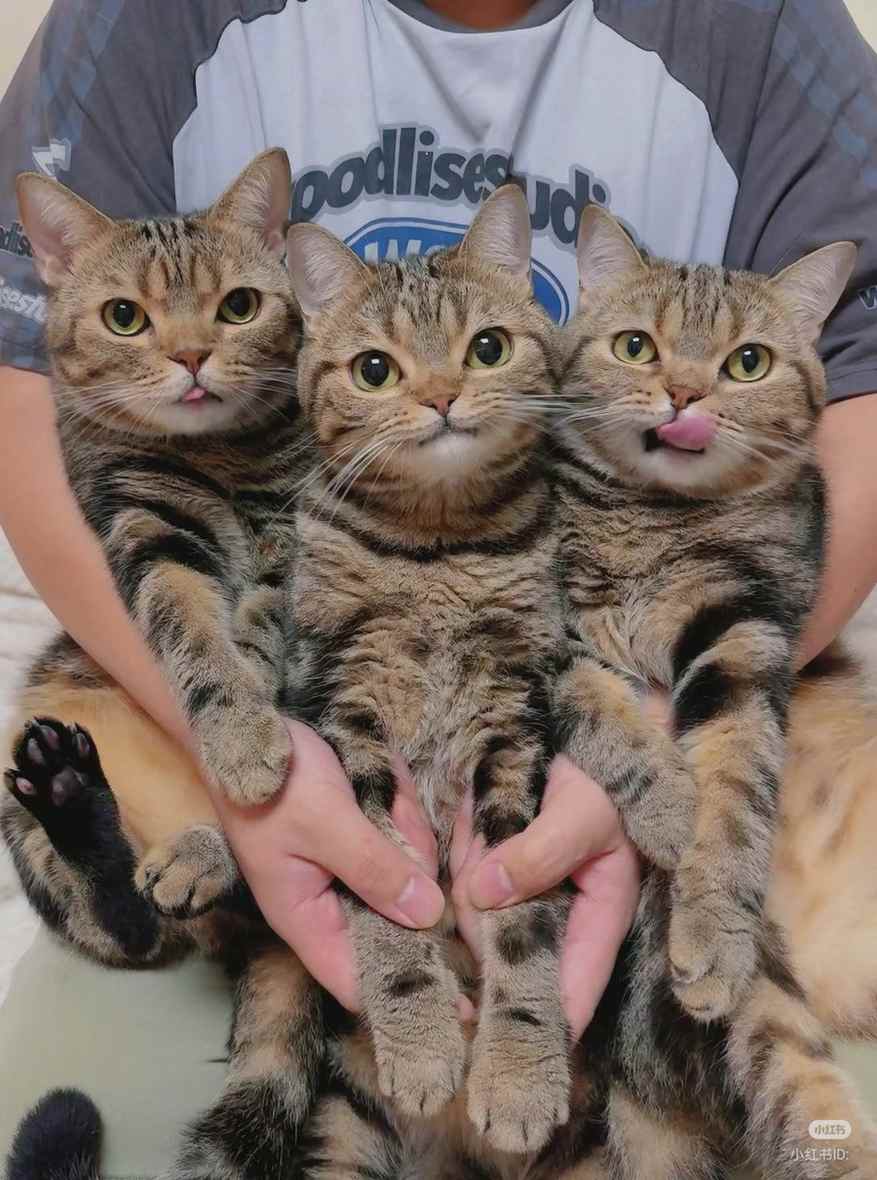 Greetings, kennedy silva reporting for duty