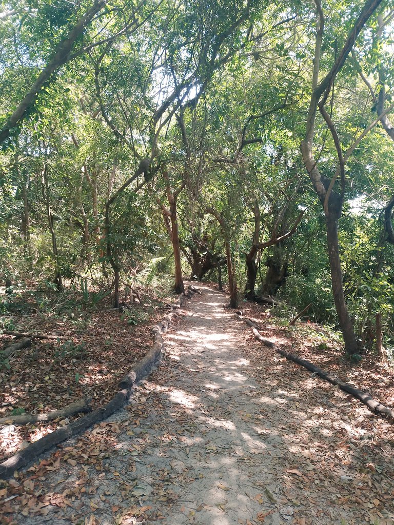 Tesão Fortal 😈 tweet media