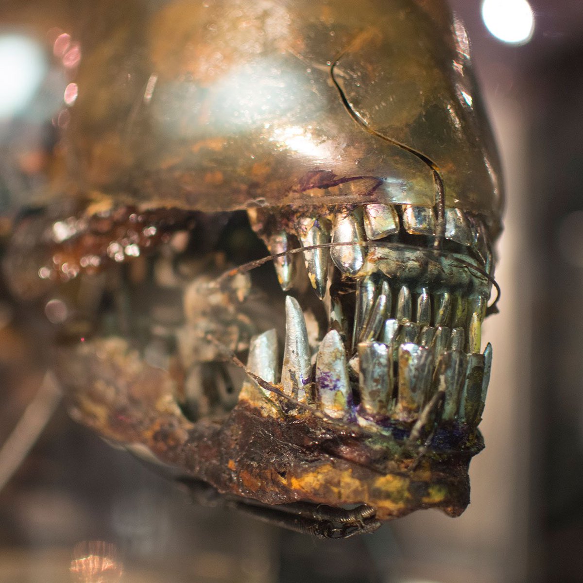 HR GIGER MUSEUM tweet media