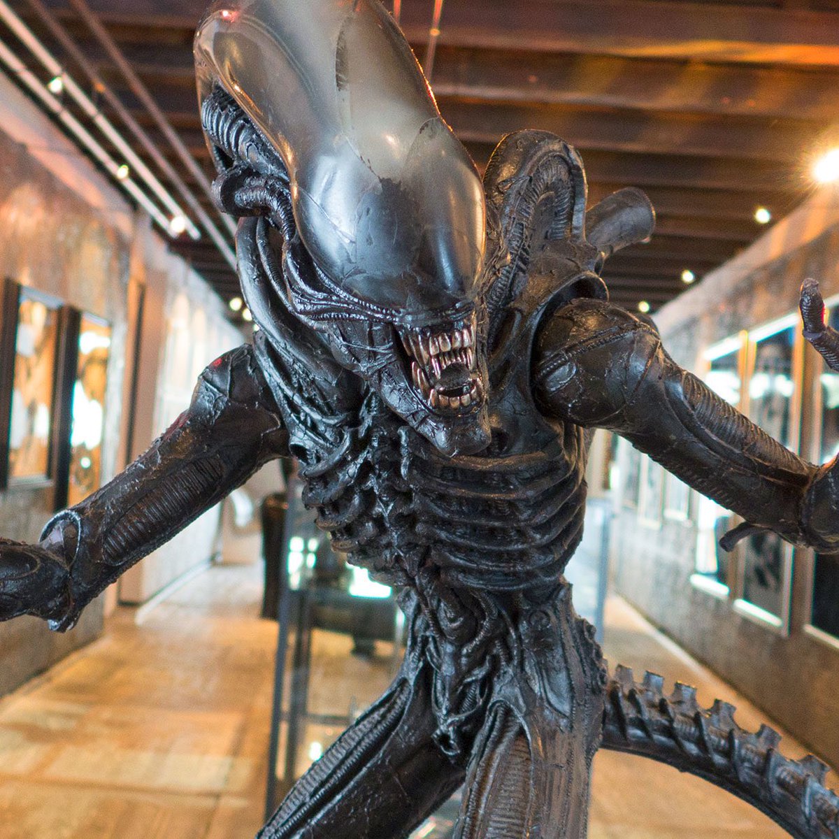 HR GIGER MUSEUM tweet media
