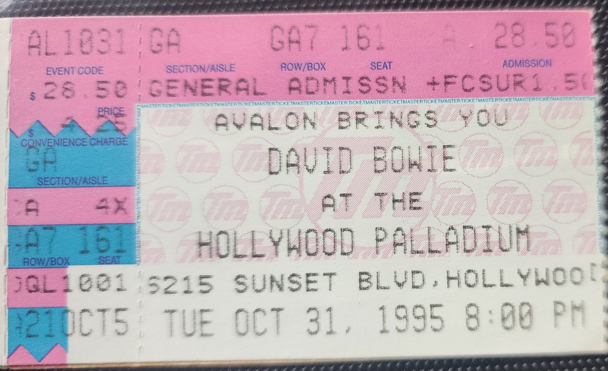 Keven Van Den Brink tweet media