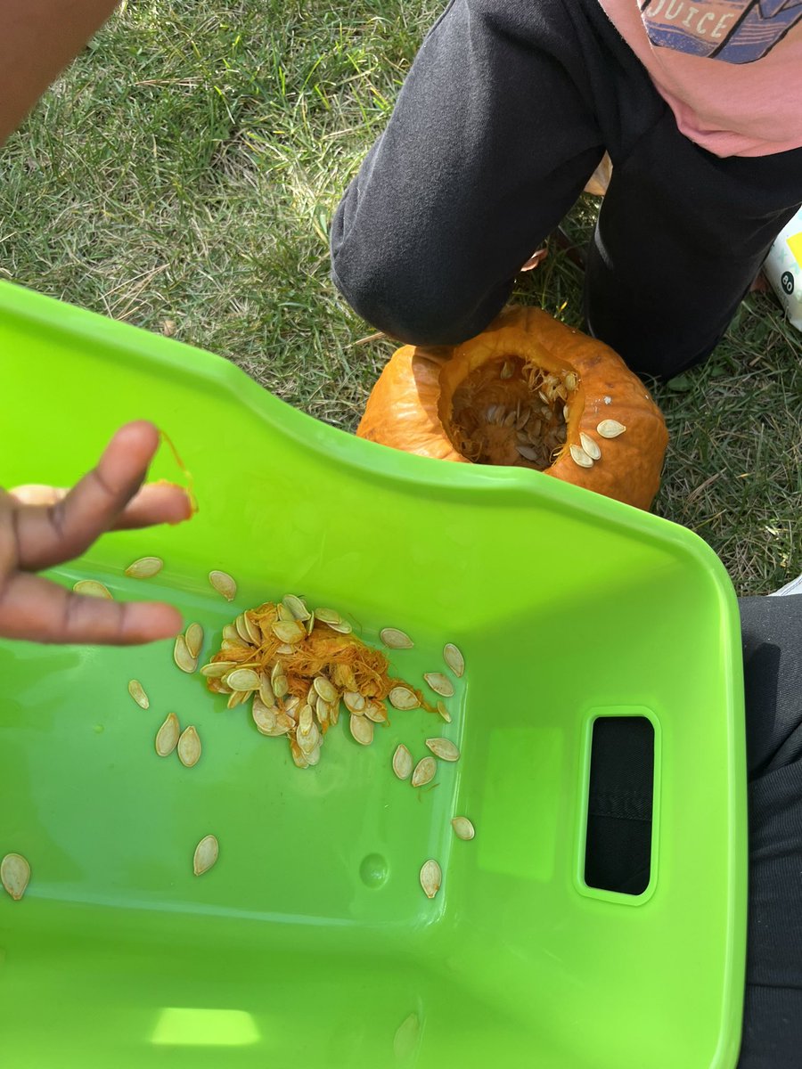 MissMertl's tweet photo. In the wolves today we carved our class pumpkin! We voted on which face it should have, scooped out the seeds and wrote down some ideas on what we should name it! 🎃 Tomorrow we count the seeds! https://t.co/AuhKHPZsLX