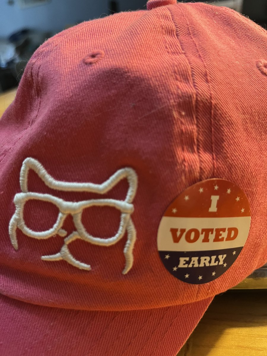 sashassheart's tweet photo. Don’t slow it down NY! Get out and vote early!
#VoteEarly
#NYRedWave https://t.co/DFe0XY62Cz