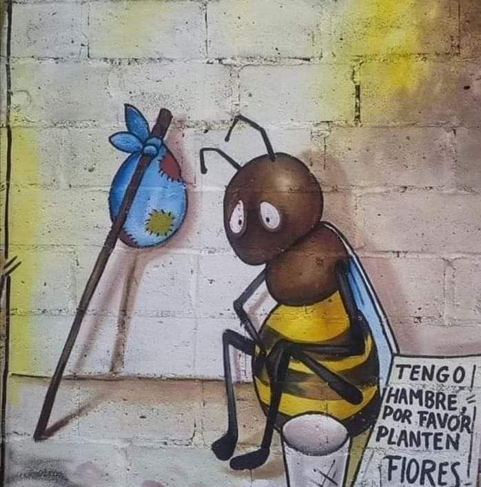 Enséñame de Ciencia tweet media