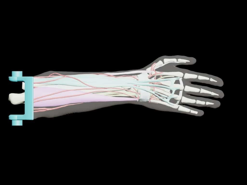 tpslab's tweet photo. This highly detailed Adult Arm Phantom comes with life-like bones, muscles, and pre-filled blood vessels. 

Come and catch a live demo of this phantom at #RSNA24 at our booth 7900, located in the North Hall.

More about the phantom here: https://t.co/2cGoXzxYhQ 
#MedicalImaging https://t.co/nKKNHVvuai