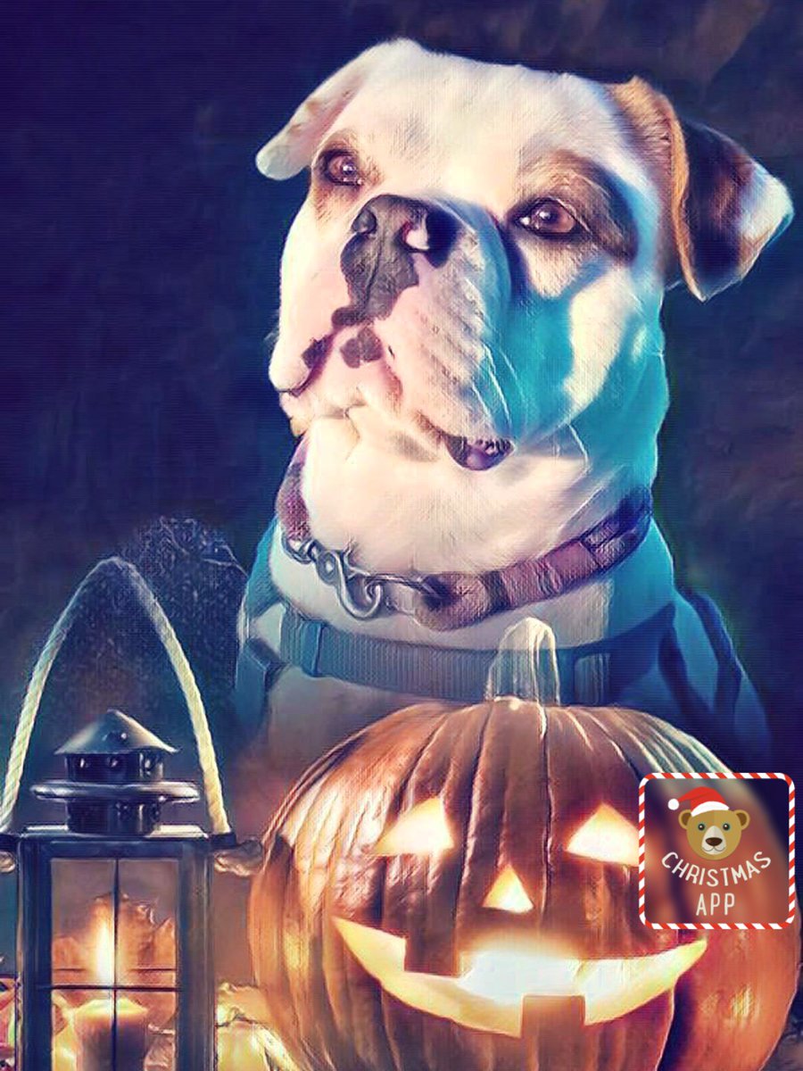 FranziskaDobbe1's tweet photo. Fetty and frida wishes you All Happy Halloween ๐ ๐ #dogsofinstaworld #dogontiktok #dogquotes #dogsofinstagram #dogphotography #dogisforlife #dogoftheday #doglovers #dogsoftwitter #dogsarefamily #bestfriendsdogs #bulldog https://t.co/9rzKiymQkA