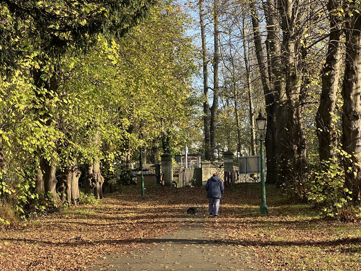 Dog Walk
#Oxford
1434 GMT