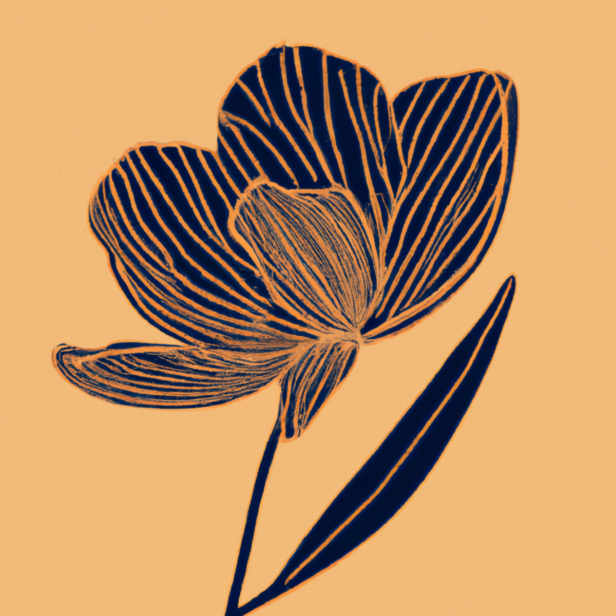 No Transmission tweet media