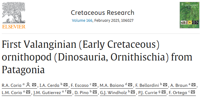 Algunas imágenes del cómo se hizo #Emiliasaura, el primer #ornitópodo rhabdodontomorfo de América del Sur
#Dinosaurios de Las Lajas (#Neuquén)
#Cretácico Inferior de #Patagonia 
sciencedirect.com/science/articl…