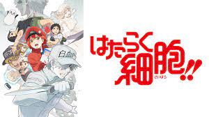 orenge333333's tweet photo. 【理系出身者の心くすぐるアニメ4選】

✅Dr.STONE
✅はたらく細胞
✅異世界薬局
✅もやしもん

＃アニメ好きと繋がりたい
＃ラノベ好きと繋がりたい https://t.co/dMqA23VEVr