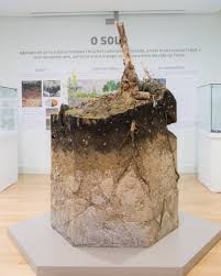 mdiazravina's tweet photo. Hoxe pola tarde o Museo de Historia Natural @universidadeUSC que aloxa Sala Permanente do solo, conmemora o décimo aniversario en Vista Alegre cun coloquio e unha mostra, que aloxa Sala Permanente do solo 
https://t.co/VcdvBMi1k2
@uvigo @mbg_csic #SoilHealth #biodiversity #soils https://t.co/WgKTnXqYQB