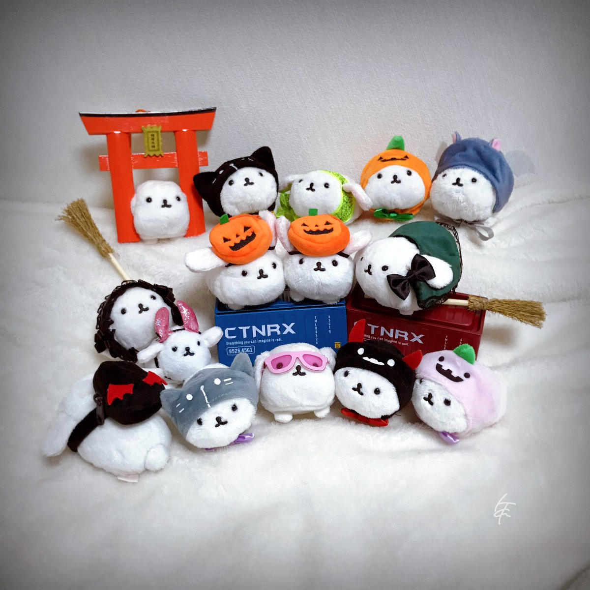 もふたんだいすき (@mofutanlover) / Posts / X