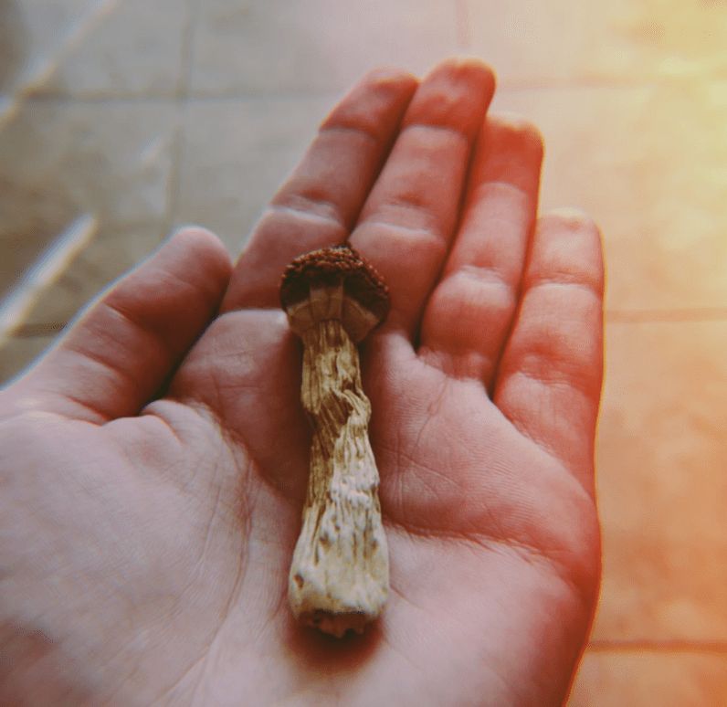 OPINION: Voting yes on Question 4 is a vote to support veterans’ mental health by Seth Moulton and Shirley Arrigia

buff.ly/3UvvobY