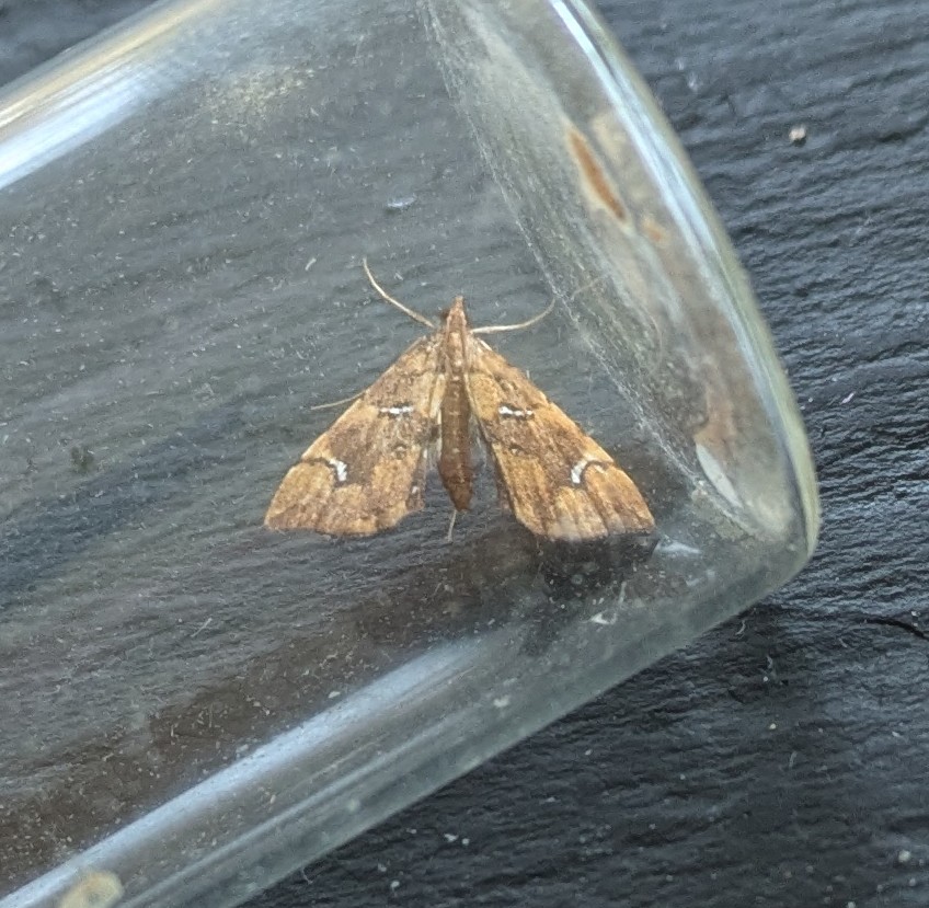 bernard boothroyd tweet media